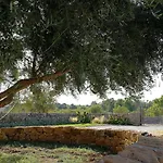 مزرعة للإقامة Marianeddi