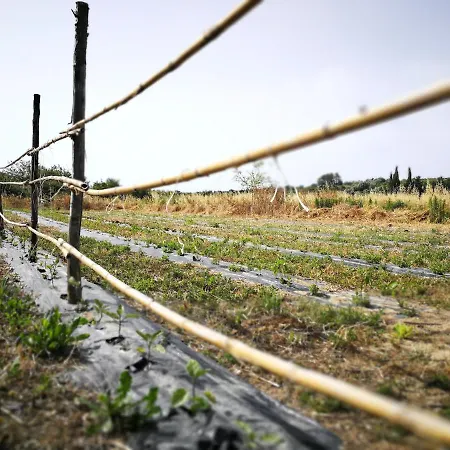 Marianeddi Alloggio per agriturismo Noto
