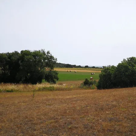 Alojamento de Turismo Rural Marianeddi *