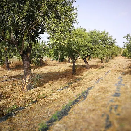 Séjour à la ferme Marianeddi Noto