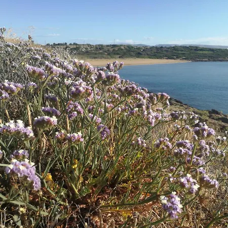 Marianeddi Vakantieboerderij Noto