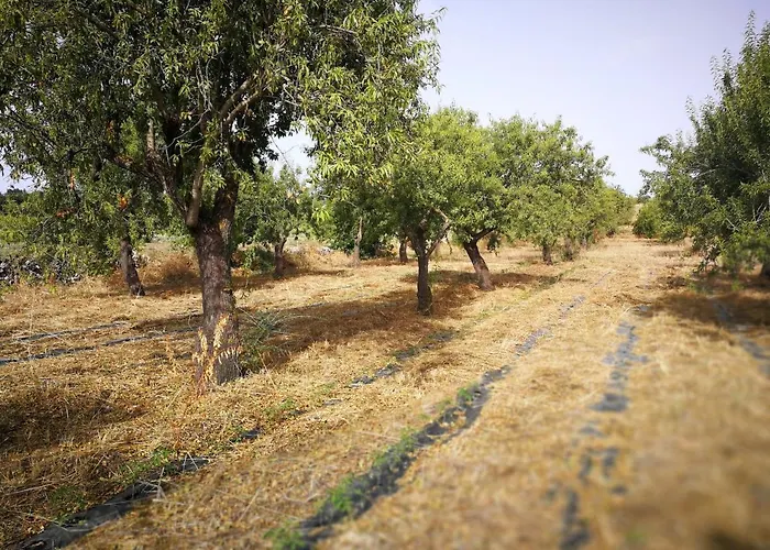 בית חווה Marianeddi נוטו