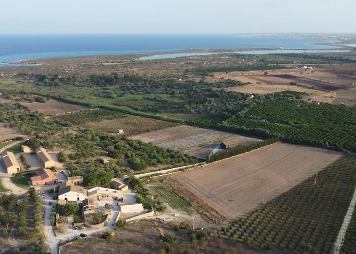 Marianeddi נוטו